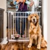 Carlson Handsfree hundgrind