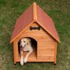 Spike All Seasons hundkoja